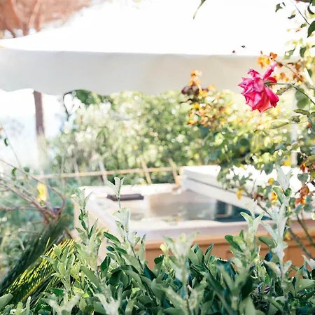 Apartamento With Private Access To The